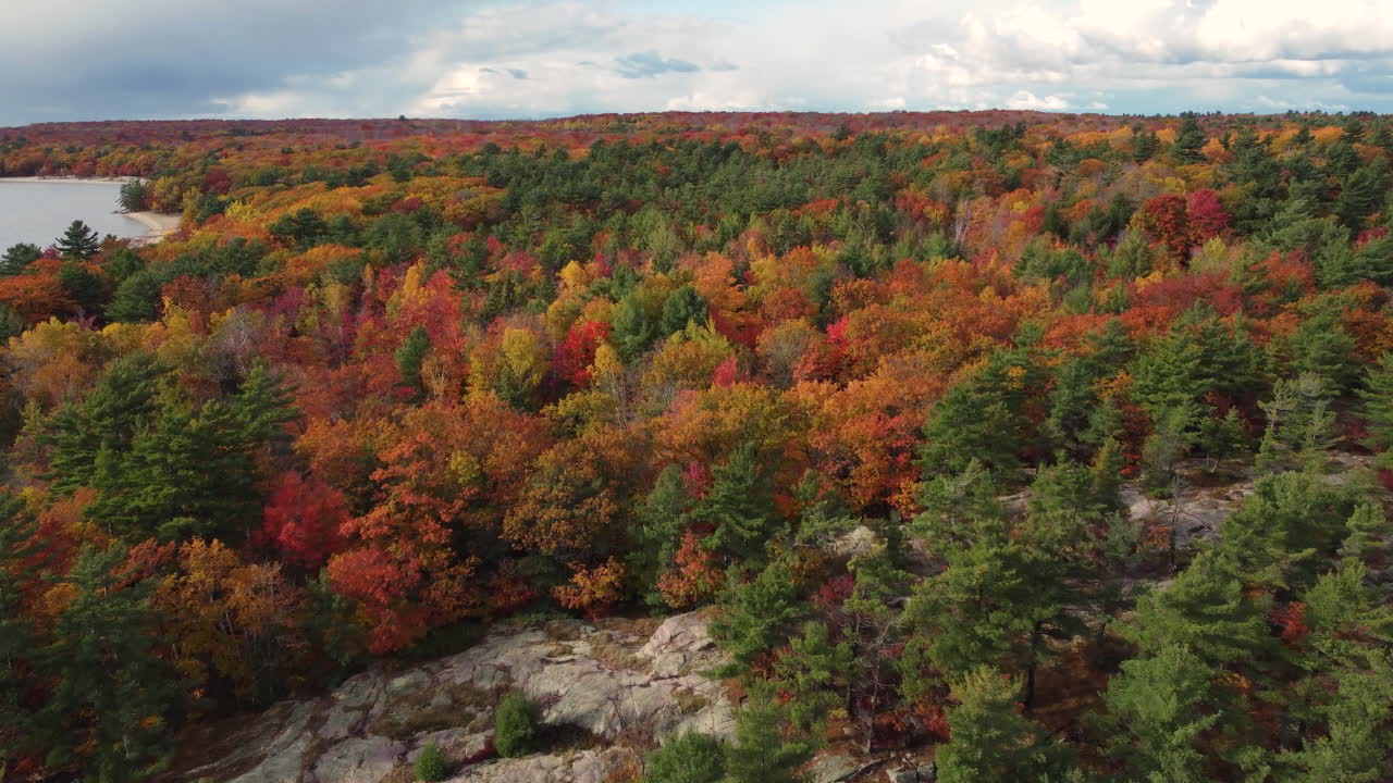 mirando hacia abajo en el bosque montañoso de impresionantes colores otoñales
