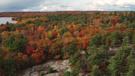 Looking-down-on-hilly-forest-of-breathtaking-Autumn-colors