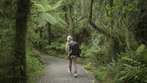 blond female photographer with backpack hiking on gravel trail through lush native bush, new zealand