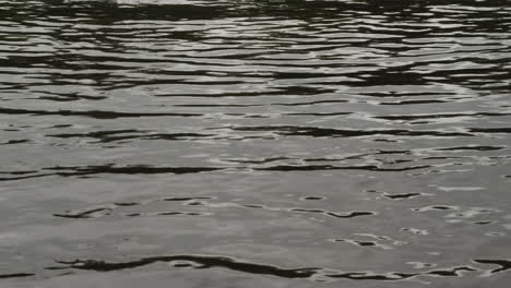 ripples on water with light reflection