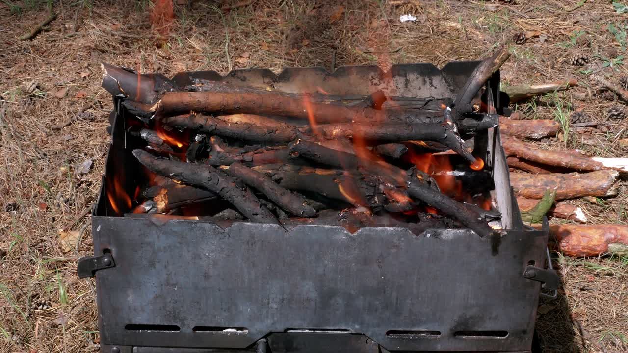 브라지어 바베큐 그릴 인 포레스트 4k