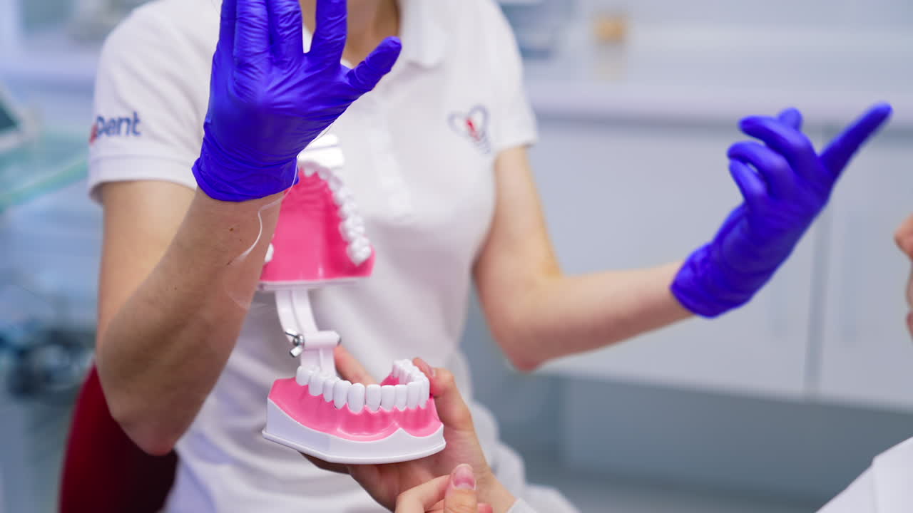 Boy holding professional orthodontic denture. Professional dentist working with little boy in clinic