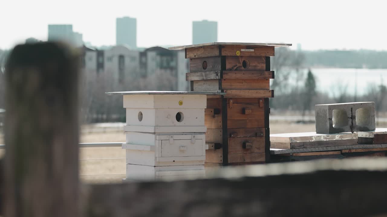 퀘벡 주 가티노에 있는 농장에서 오타와 도시 경관을 배경으로 전경에 있는 농장 벌통과 나무 울타리를 닫습니다.