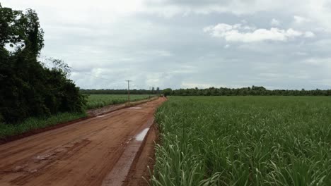 Dolly-in-aerial-drone-shot-of-a-farm-tractor-driving-down-a-wet-orange-sand-dirt-road-surrounded-by-fields-of-tropical-sugar-cane-growing-in-Tibau-do-Sul,-Rio-Grande-do-Norte-Brazil-on-an-overcast-day