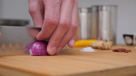 person cutting a red onion, static close up