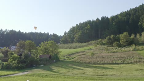 flock of birds flying with paraglider in background, lush green field