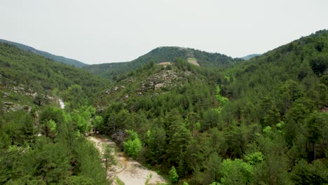 aerial view over a vast mountain range covered by forest and lush vegetation, near lake maries, thassos island, greece