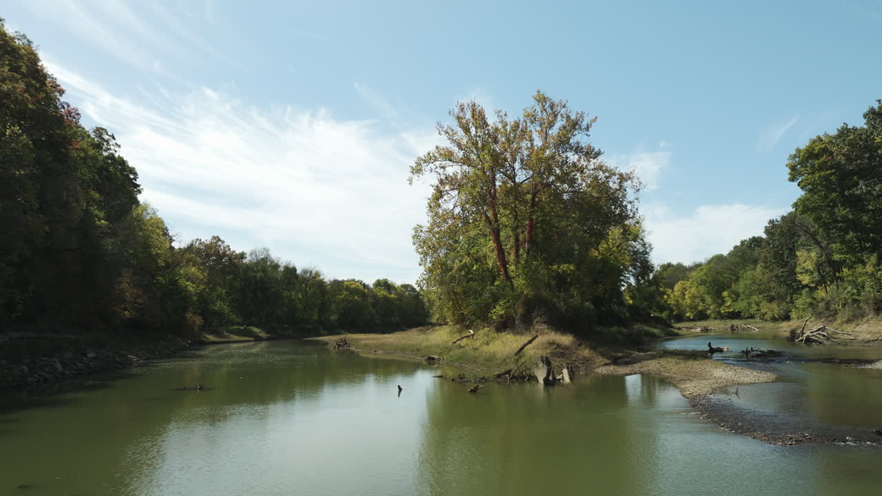 아칸소 주 트윈 브리지 공원 근처의 습지 아래의 나무 다리