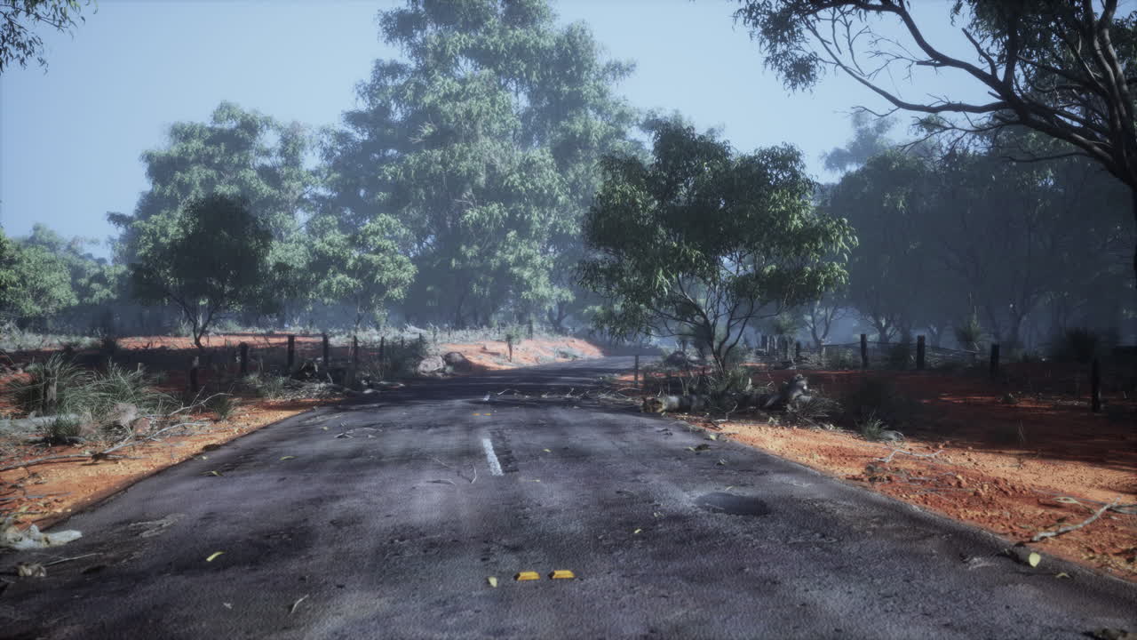 높은 숲을 따라 가는 직선 경로 표시