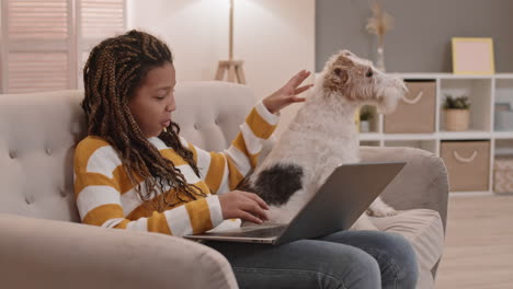 child with laptop petting dog