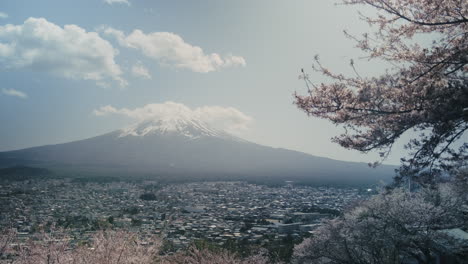 mount fuji and cherry blossoms in japan