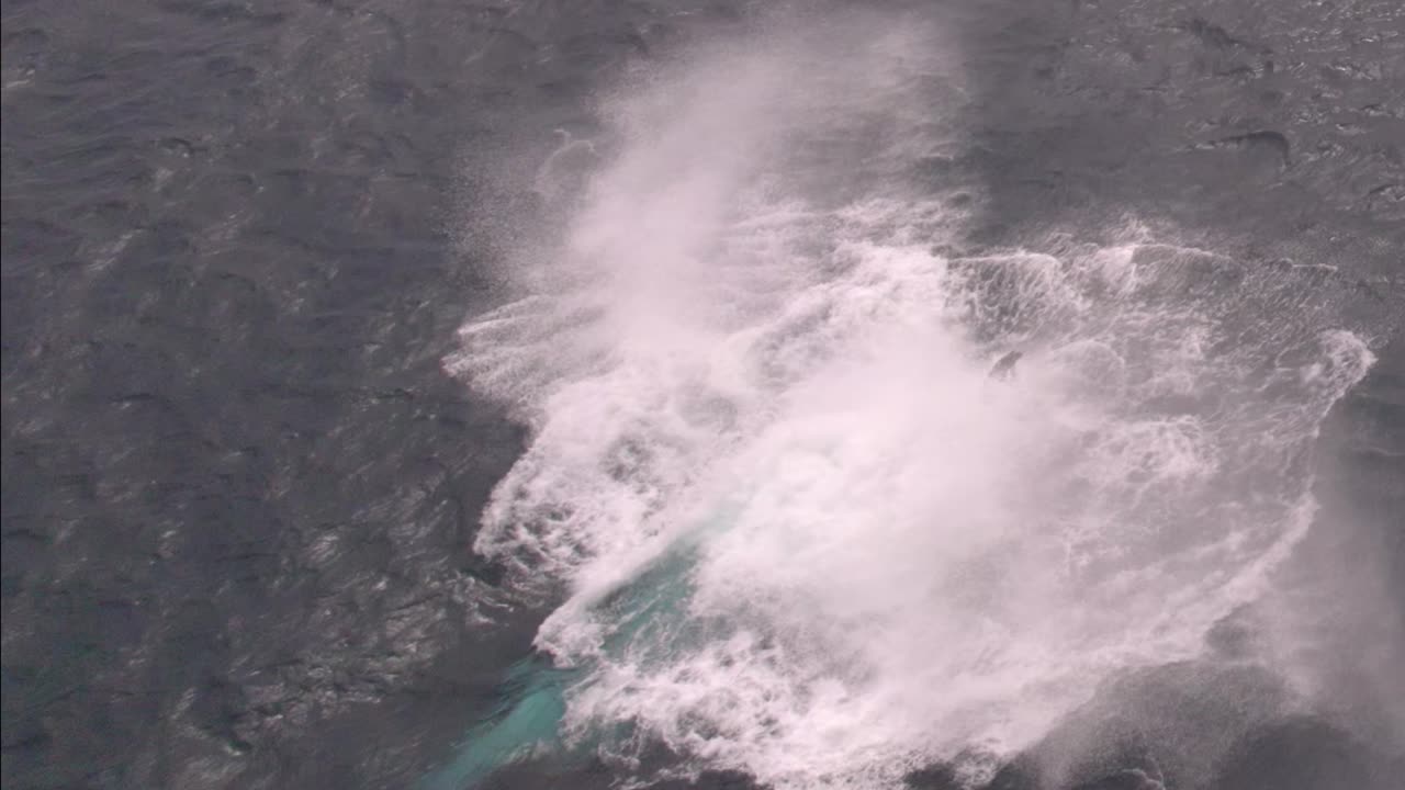 point piquet, dunsborough, western australia pt 2에서 바다를 침범하는 혹등고래