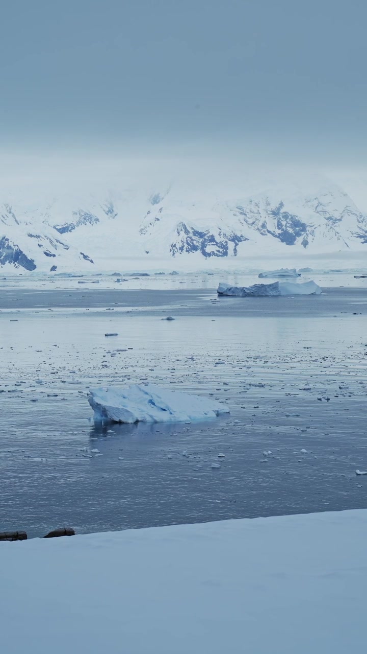 Antarctica Blue Icebergs and Mountains, Iceberg Floating on Ocean Sea Water in Vertical Video for Social Media, Instagram Reels and Tiktok, Antarctic Peninsula Winter Ice Seascape Landscape Scenery