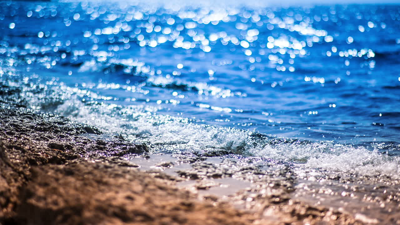 에스 트렌스 비치 15