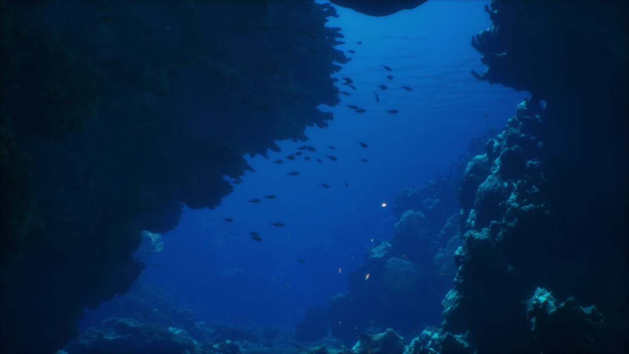 cueva submarina con peces