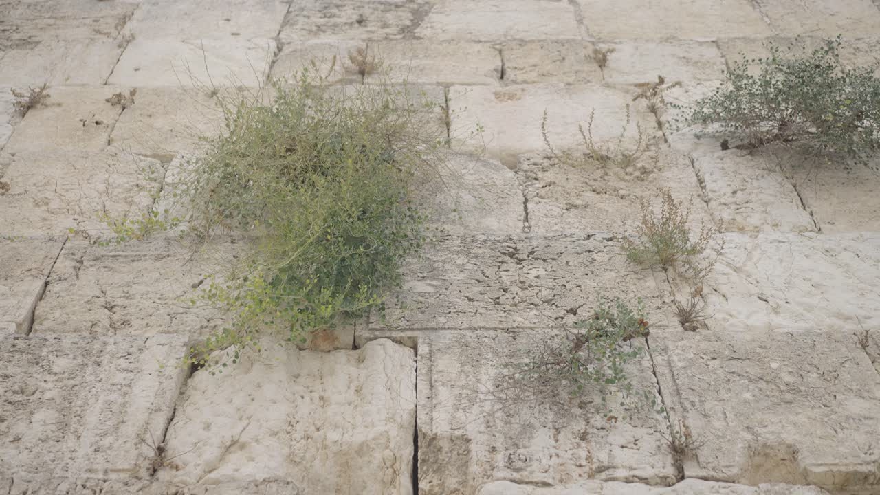 Western, Buraq, Wailing wall surrounding Temple Mount, Jerusalem