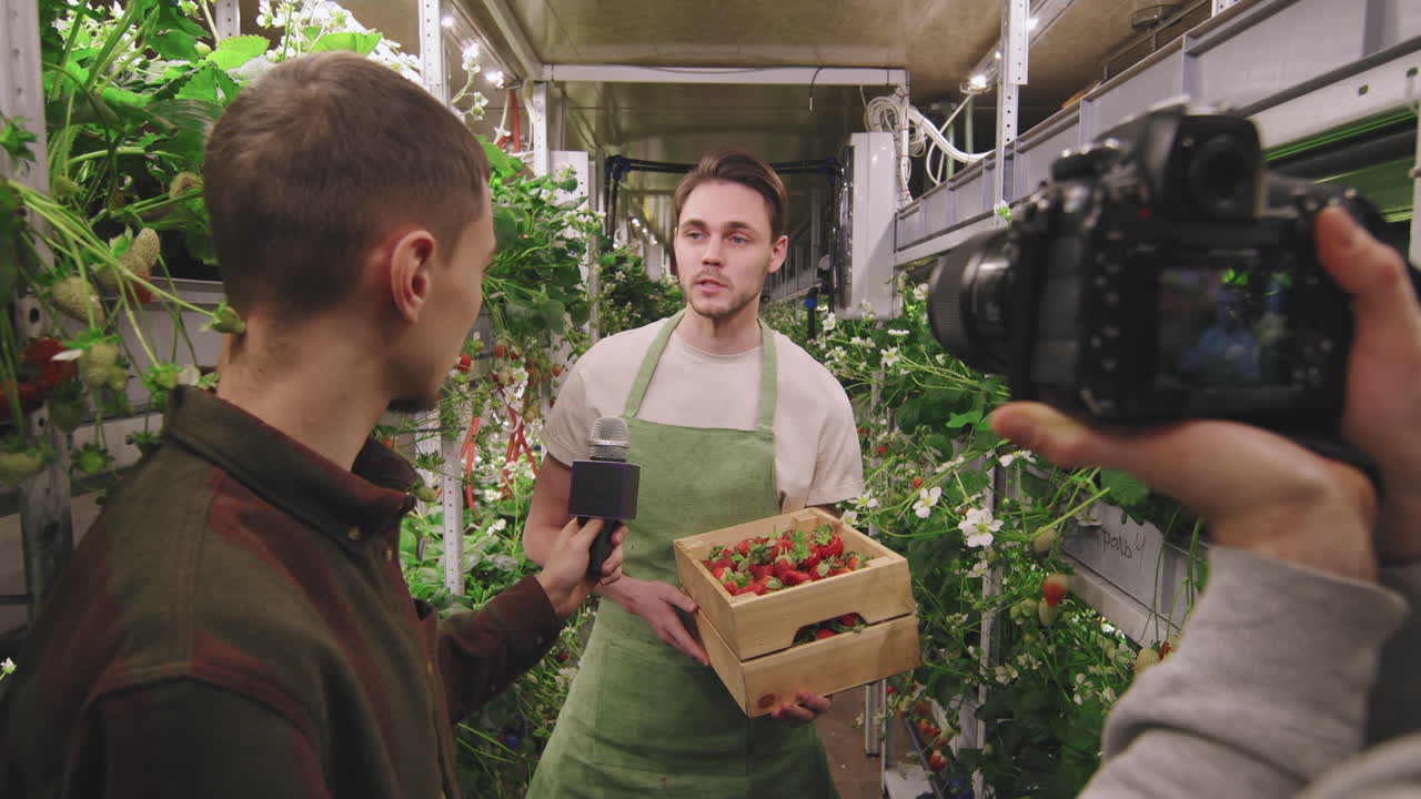 Journalist Interviewing Farmer at Vertical Strawberry Farm