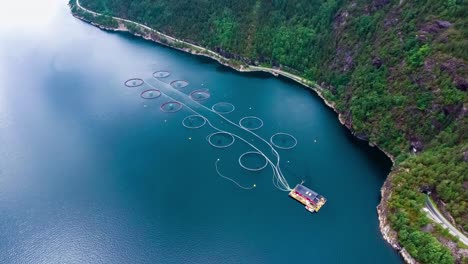 images aériennes de la pêche au saumon en norvège