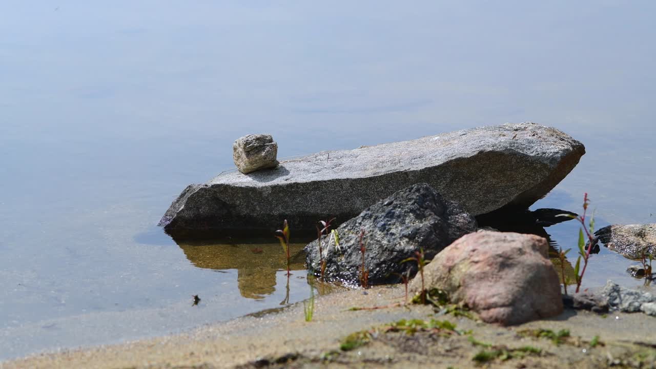 바이칼 호수 연안