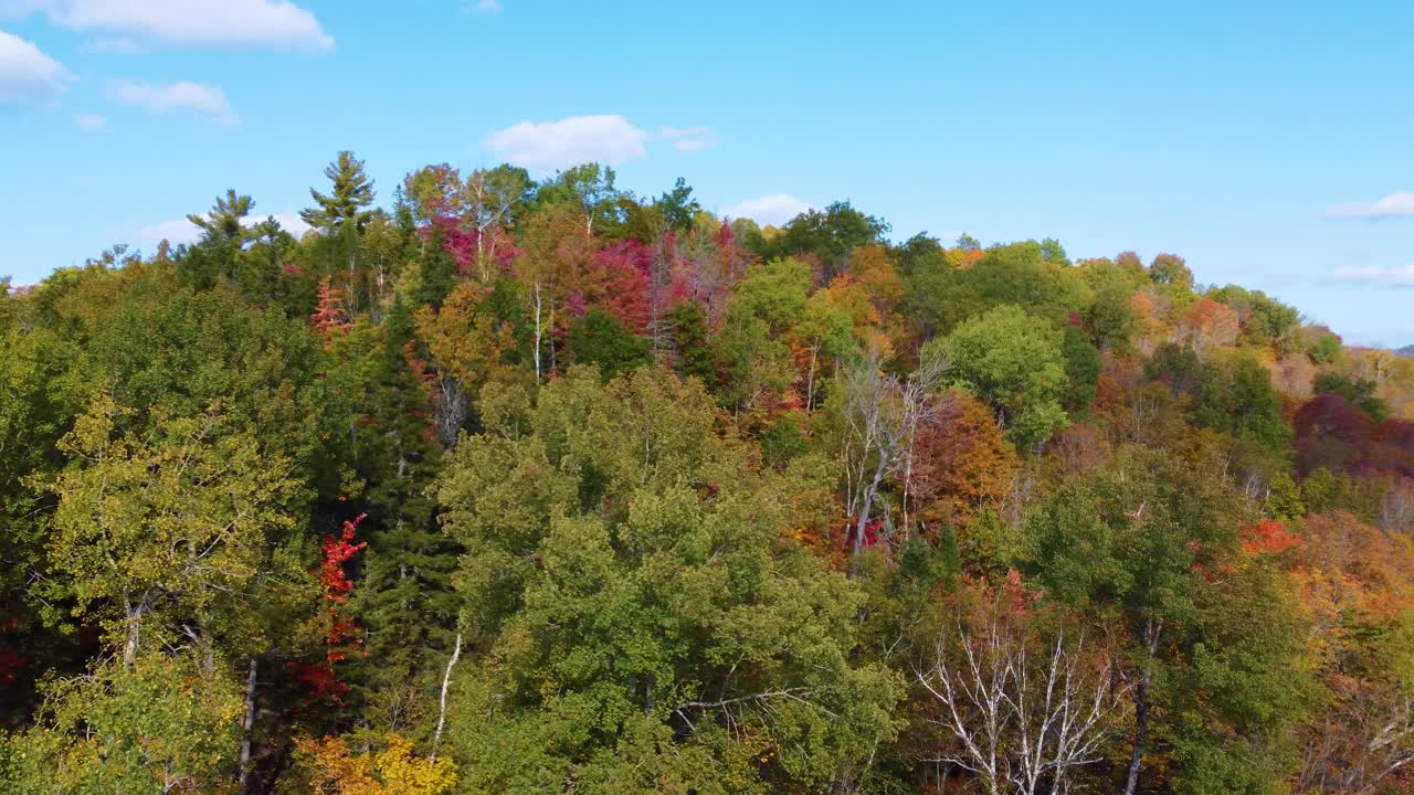 Aerial drone shot soaring up the side of a mountain above the treetop canopy of a forest on a beautiful autumn day, Montr&eacute;al, Canada