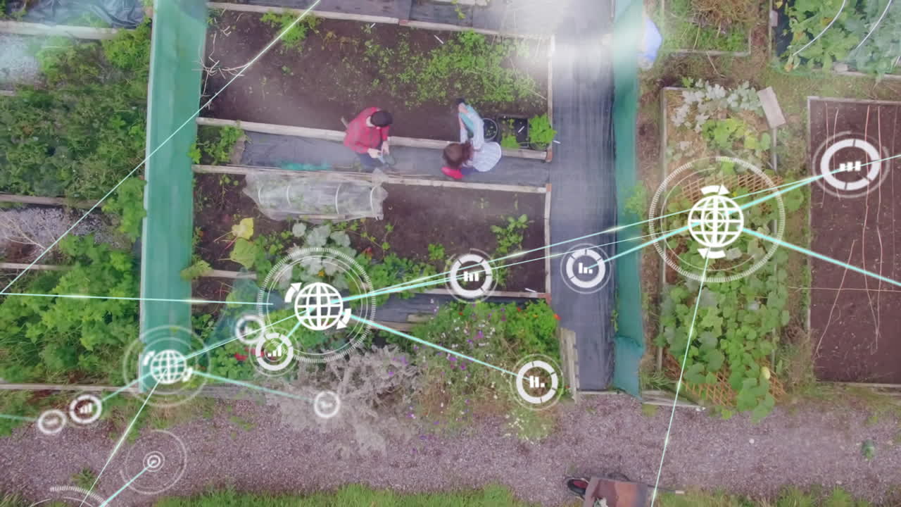 jardinería en la asignación, personas con conexiones de red y animación de procesamiento de datos