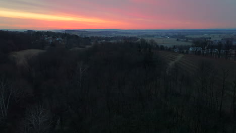 Aerial-above-forest-at-sunrise