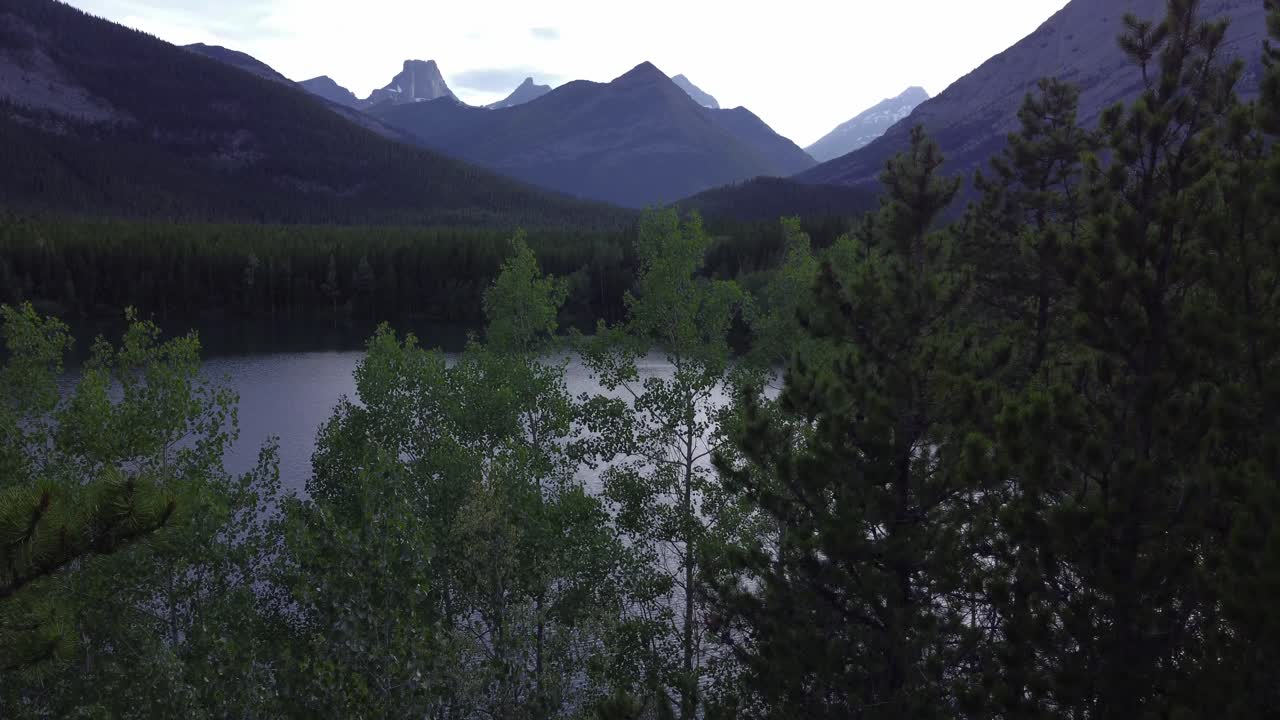 Tavole da paddleboard su uno stagno in un parco tra montagne e boschi, con vista sulle Montagne Rocciose Kananaskis, Alberta, Canada.