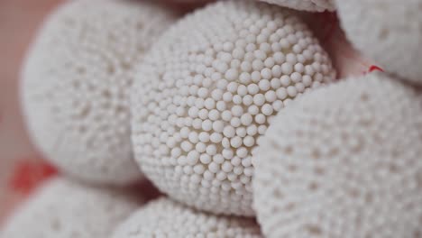 close-up of white candies with sprinkles