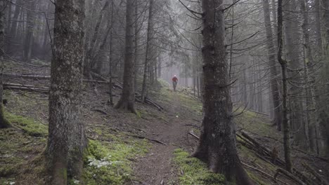 ciclista de montaña montando en un bosque nublado bajo la lluvia