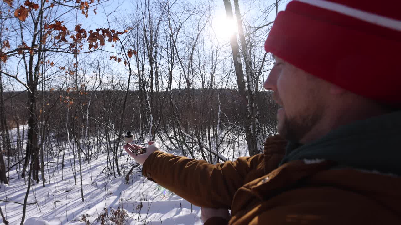 Fugle lander på en mands hånd for at spise, vidvinkel, vinter, slowmotion.