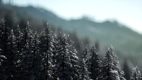 Wunderschöne-Winterlandschaft-In-Den-Bergen
