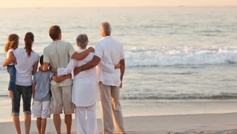 Animation-Einer-Glücklichen-Familie,-Die-Sich-Am-Strand-Umarmt