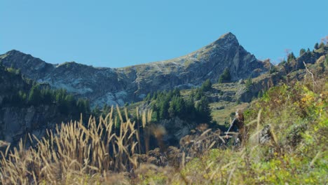 一名山地自行车手在秋天骑着一条风景如画的高山步道