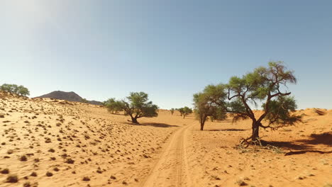 off road track thru the namibia dessert