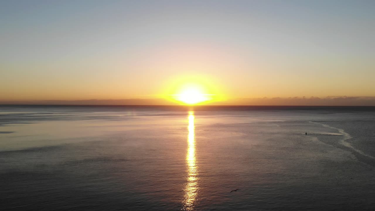 Golden Yellow Morning Sunrise On Horizon Of English Channel With Bird Flying Underneath. Aerial Rising