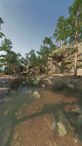 bosque tranquilo con rocas y un estanque