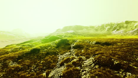 stunning rocky landscape with lush greenery under bright sunlight