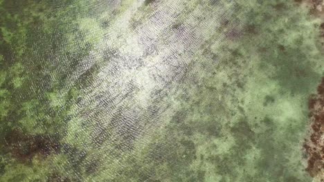 tilt-up movement reveals pristine wetlands in los roques, venezuela, a protected national park area