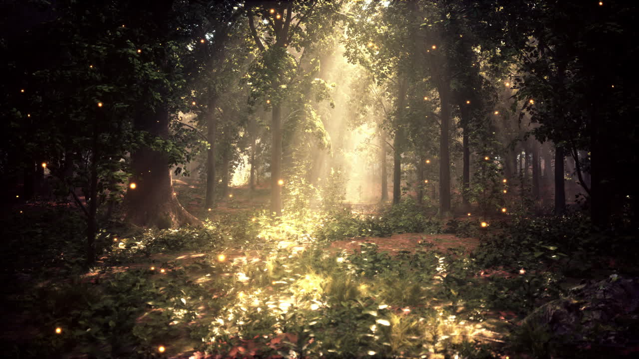 A forest filled with lots of trees and lights
