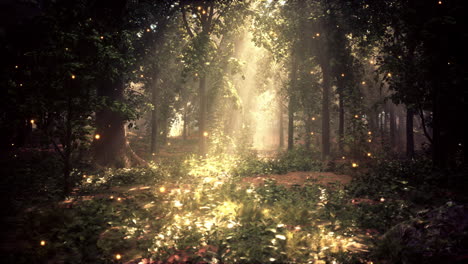un bosque lleno de muchos árboles y luces
