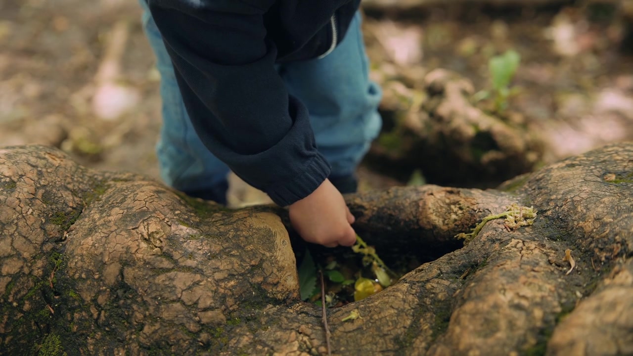 Curious Toddler Exploring Water and Leaves in Tree Roots