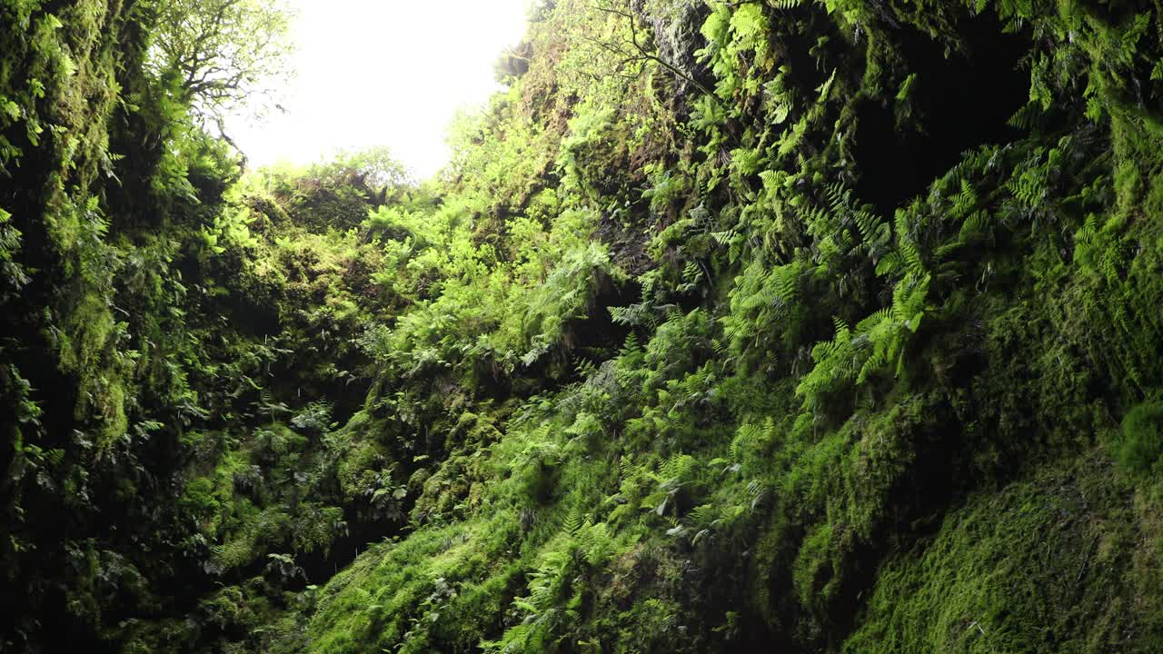 mirando hacia el respiradero volcánico de algar do carvao en la isla de terceira, portugal