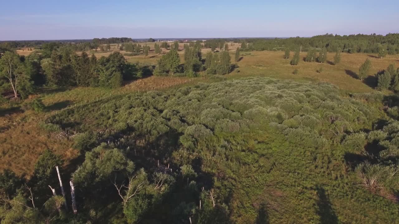 Winches Fly Above the Bushy Territory. Aerial Track Left
