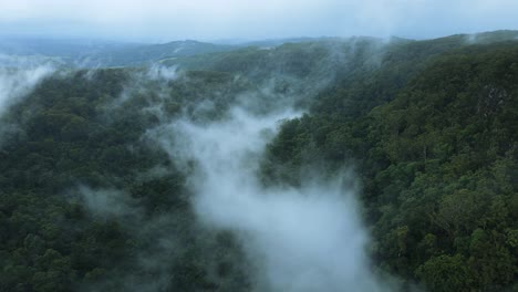 densa niebla que se forma a lo largo de un cañón de arbustos tropicales situado muy por encima de una cadena montañosa del interior