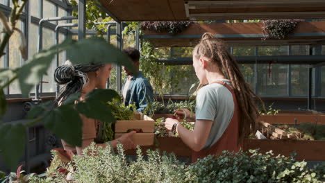 People-in-a-greenhouse