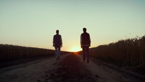 Agronom-Silhouetten-Beim-Gehen-Auf-Dem-Weizenfeld.-Landwirte-Inspizieren-Die-Ernte-Bei-Sonnenuntergang