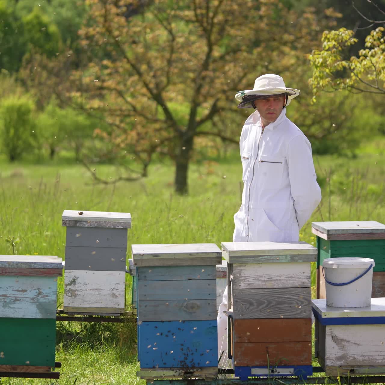 Man in uniform working beekeeping in apiary. Agricultural summer organic apiary honeycombs