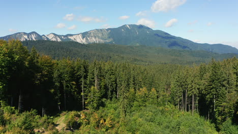 aerial push in towards postavarul massif near mountain town of predeal, romania