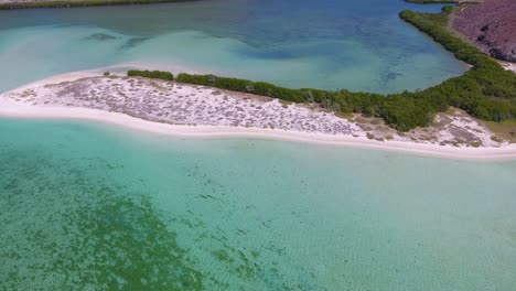 Antena-Voladora-Hacia-Adelante-Sobre-Aguas-Turquesas-Y-Playa-Con-Pájaro-Fragata-Volando-A-La-Vista