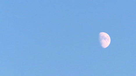 luna gibosa creciente con pájaros volando migrando en 4k